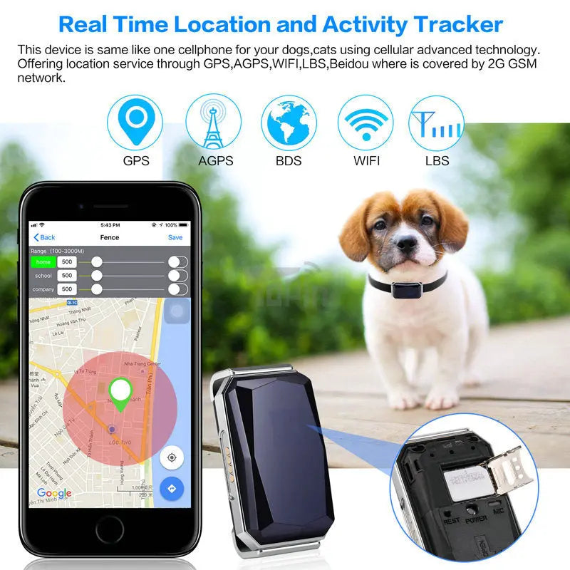 Gps tracker pawello