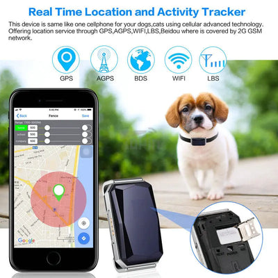 Gps tracker pawello