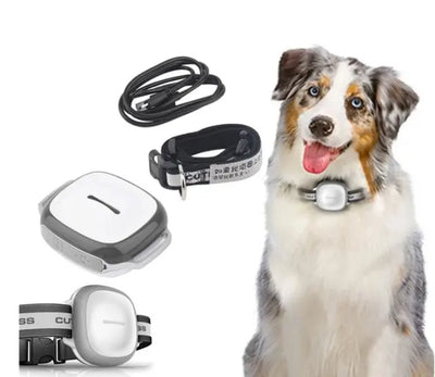 Collared Cat Dog Tracker Pet Locator Pet pawello
