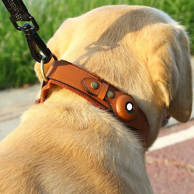 Location Tracker First Layer Leather Dog Pet Collar tracksyshop