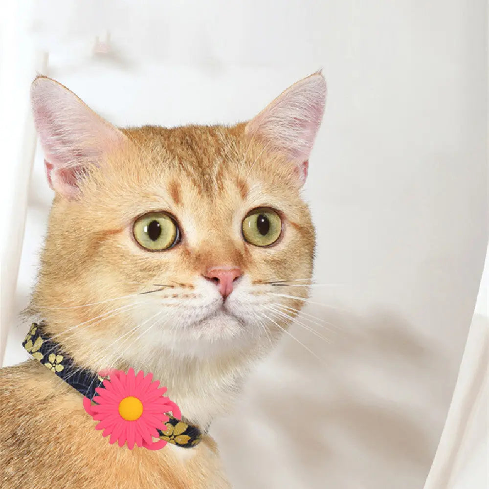 Pet Tracker Collar Protective Cover pawello